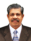 Vice President